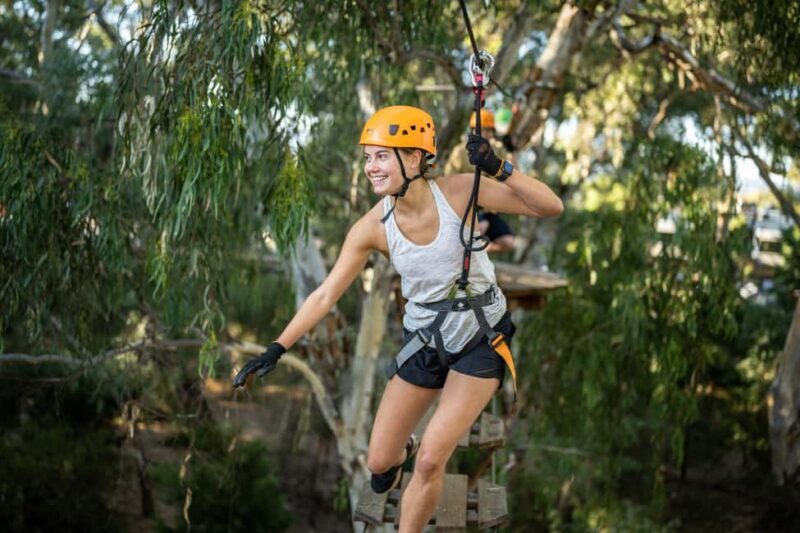 Adelaide: TreeClimb Adventure - Introduction