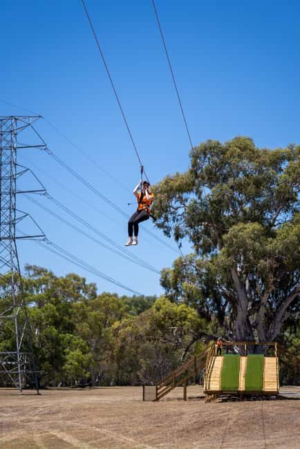 Adelaide: TreeClimb Adventure - Key Points