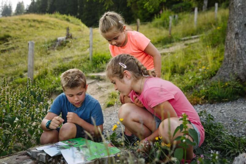 Adelboden: Vogellisi Adventure Trail Family Hike - Key Points