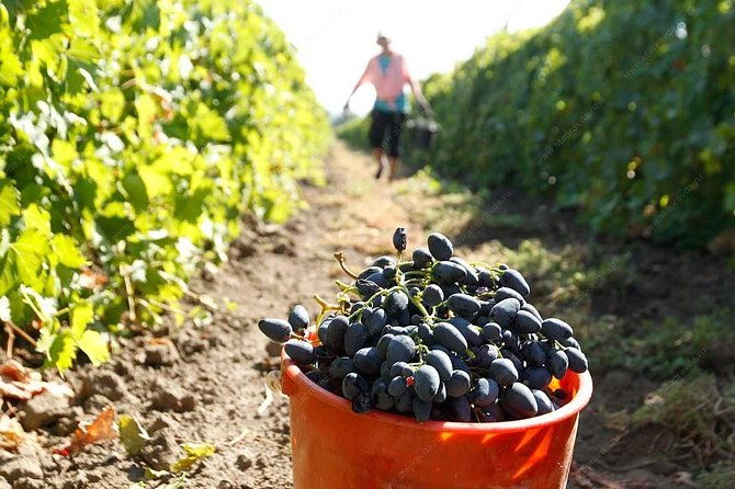 adjarian-mountains-waterfalls-wine-tour-best-views-from-batumi-kobuleti