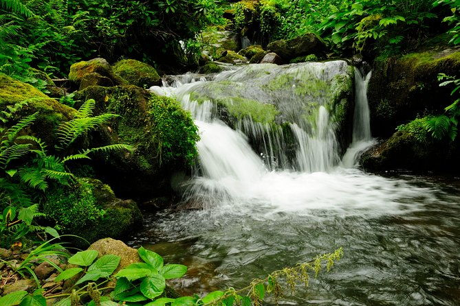 adjarian-mountains-waterfalls-wine-tour-best-views-from-batumi-kobuleti