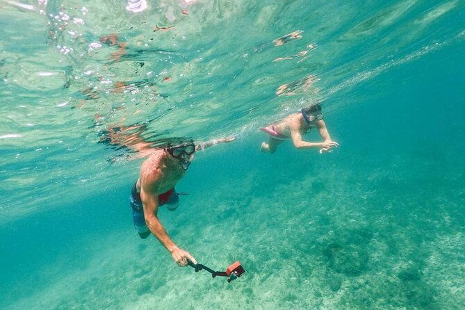 admission-ticket-to-coral-world-coki-point-beach-with-snorkeling