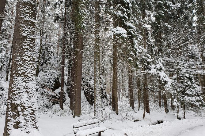 adrspach-teplice-rocks-filming-site-of-the-chronicles-of-narnia