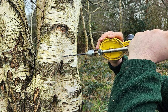 adult-foraging-walk-bushcraft-cookery-course-for-beginners