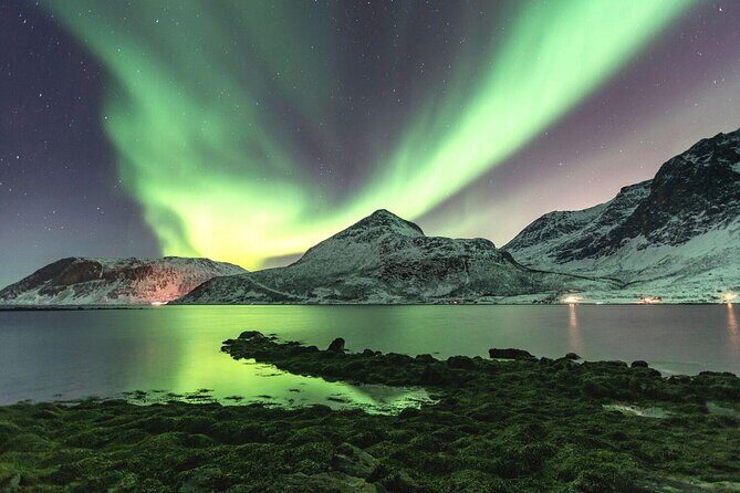 Adults Only Aurora Hunt with Citizen Science with Wandering Owl - Introduction