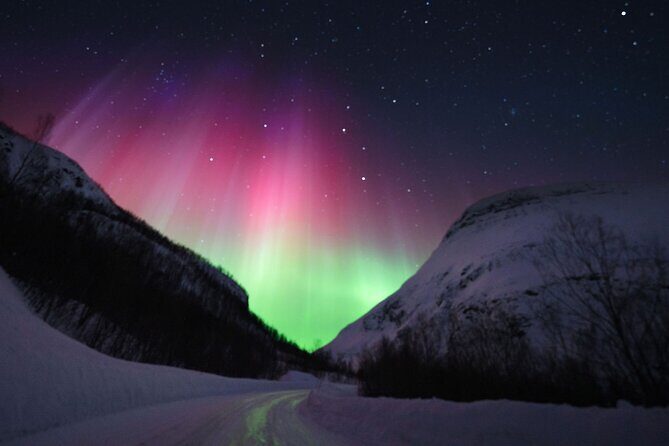 Adults Only Aurora Hunt with Citizen Science with Wandering Owl - The Sum Up