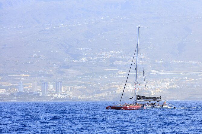 adults-only-tenerife-freebird-whale-dolphin-catamaran-with-lunch-2