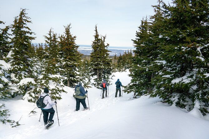 advanced-snowshoeing-adventure