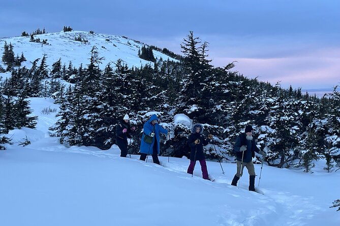 advanced-snowshoeing-adventure