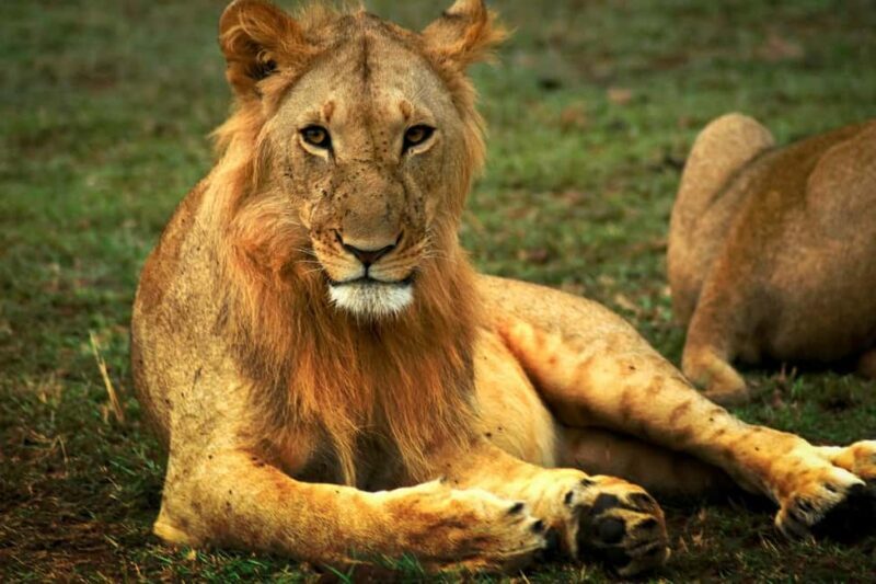 ADVENTURE: 7DAYS KENYA SAFARI - Key Points