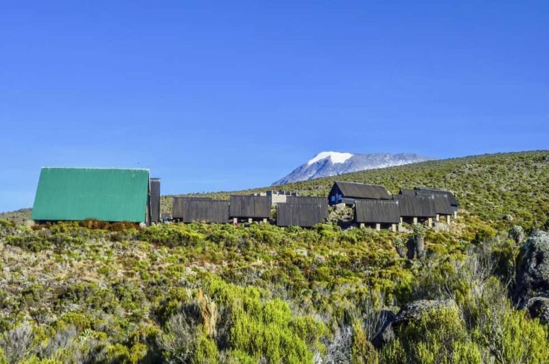 Adventure 8-Day Kilimanjaro Expedition and Chemka Hot Spring - Key Points