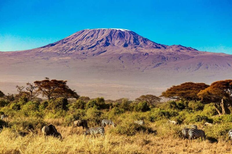 Adventure 8-Day Kilimanjaro Expedition and Chemka Hot Spring - The Climb and the Experience