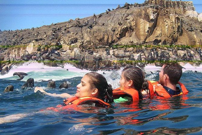 adventure-and-adrenaline-swimming-with-sea-lions-visit-the-peruvian-islands
