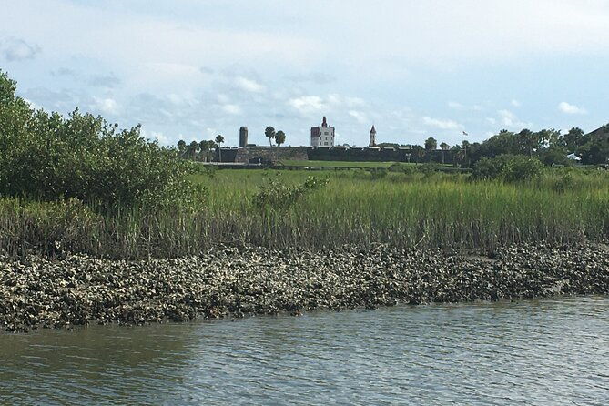 adventure-boat-tours-one-hour-dolphin-eco-history-sightseeing-boat-tour