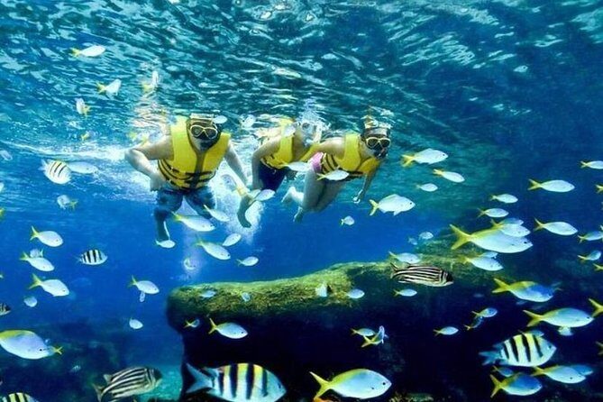 Adventure Cove Water Park Entry ticket sentosa Island singpore - Key Points