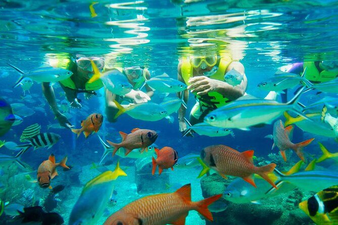 Adventure Cove Waterpark Tickets - Final Thoughts: Is It Worth It?