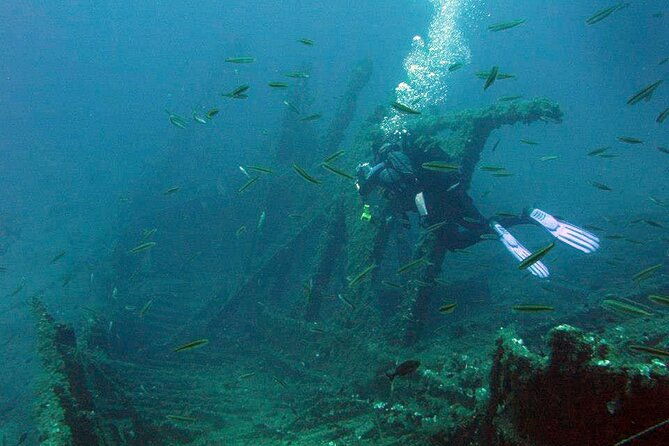 adventure-dives-for-certified-divers-in-nea-makri-athens-2