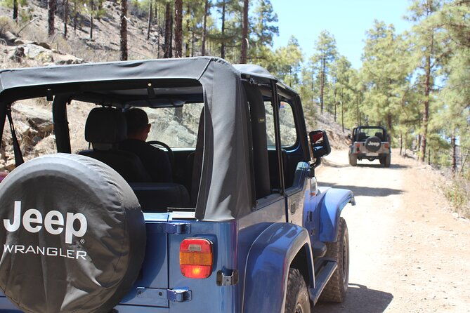 adventure-driving-jeep-tour-in-gran-canaria