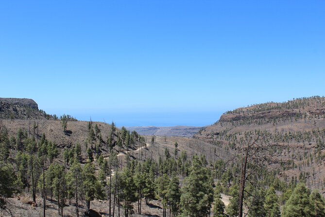 adventure-driving-jeep-tour-in-gran-canaria