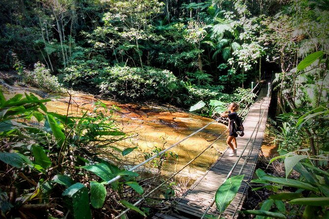 adventure-history-at-tijuca-forest-small-group-or-private