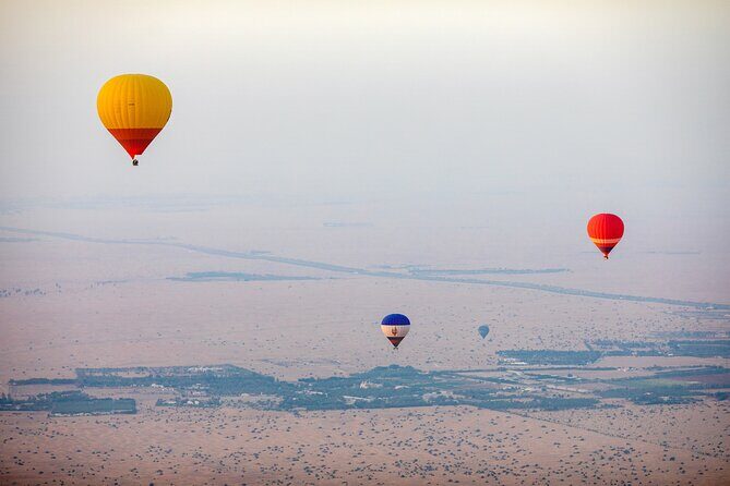 Adventure Hot Air Balloon with Buffet Breakfast & Falcon Show - The Sum Up
