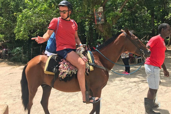 adventure-in-the-bay-of-samana-and-waterfall-el-limon-from-punta-cana