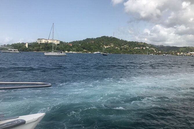 adventure-in-the-bay-of-samana-and-waterfall-el-limon-from-punta-cana