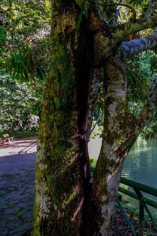 adventure-in-the-dark-owls-cave-and-santa-carmen-expediti