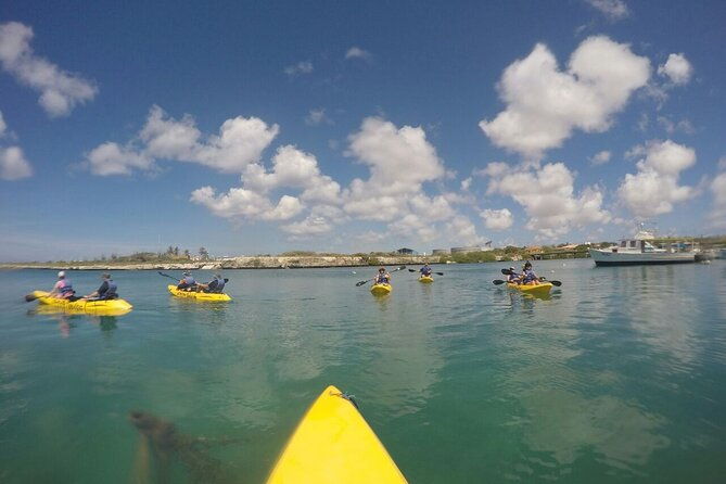 adventure-kayak-snorkeling-at-reef-island-aruba