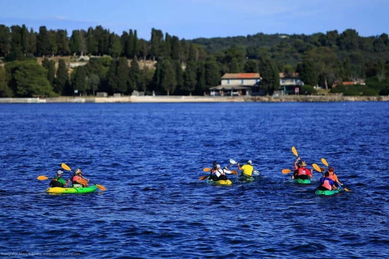 ADVENTURE KAYAK TOUR SEAGULLS ROCKS AND MILITARY ZONE - Key Points