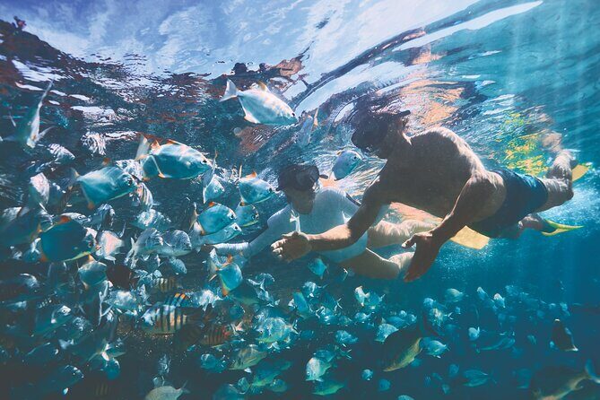 Adventure Moreton Island Scuba Dive Tour - The Sum Up