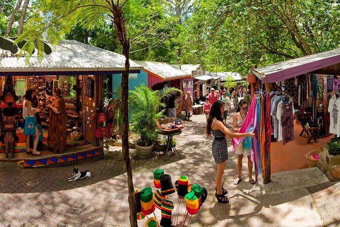Adventure on a Budget Visit Kuranda or Palm Cove from Pt Douglas - Key Points