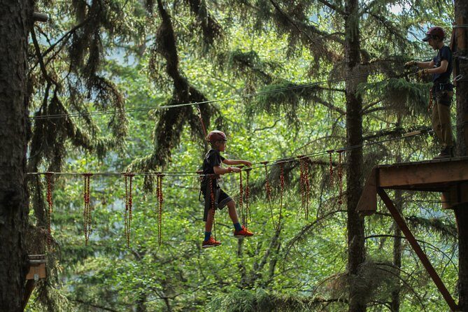 Adventure Parks & Zipline Tour - An In-Depth Look at the Adventure Parks & Zipline Tour