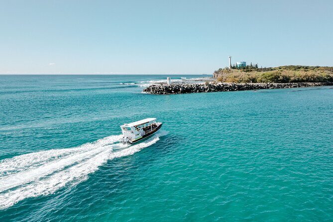 Adventure Rafting - Mooloolaba Turtle Tour - Practicalities and Tips for Travelers