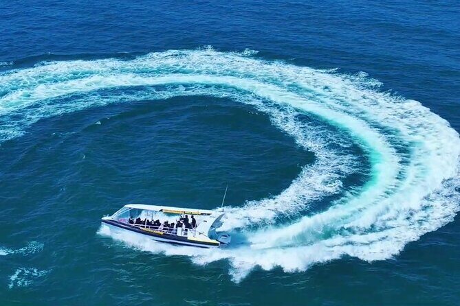 Adventure Rafting - Mooloolaba Turtle Tour - The Sum Up