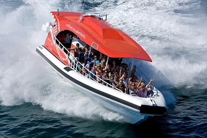 Adventure Rottnest Tour with Ferry & Adventure Cruise - What the Reviews Say