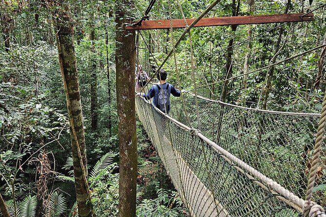 Adventure Taman Negara Tour From Kuala Lumpur - Practical Details & Tips