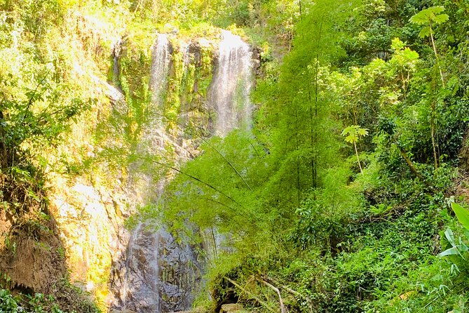 adventure-to-a-hidden-waterfall-private-tour
