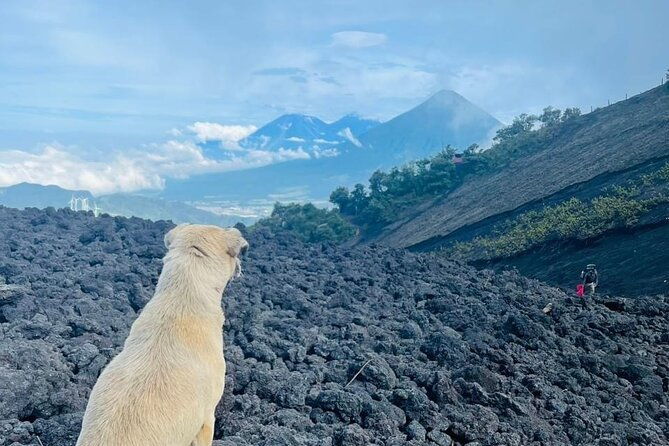 adventure-tour-climbing-the-pacaya-volcano-with-pickup