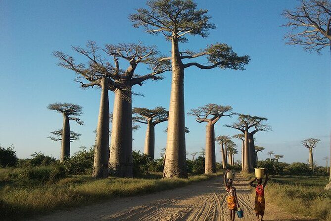 Adventure Tour West Madagascar | Nature and Discovery - Practical Details & Considerations