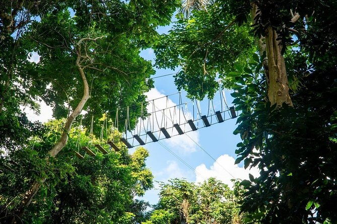 adventure-trail-tour-in-the-foothills-of-the-national-rainforest