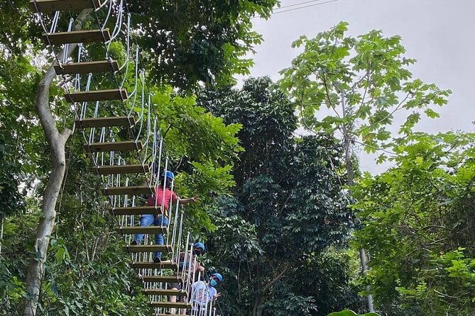 adventure-trail-tour-in-the-foothills-of-the-national-rainforest
