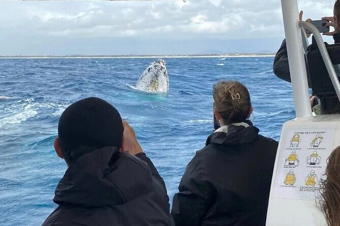 Adventure Whale Watching Tour Mooloolaba - FAQs