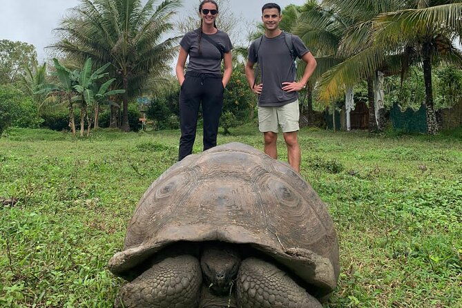 adventure-with-turtles-lava-tunnels-and-los-gemelos-craters