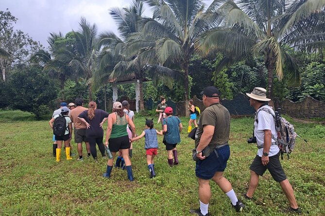 adventure-with-turtles-lava-tunnels-and-los-gemelos-craters