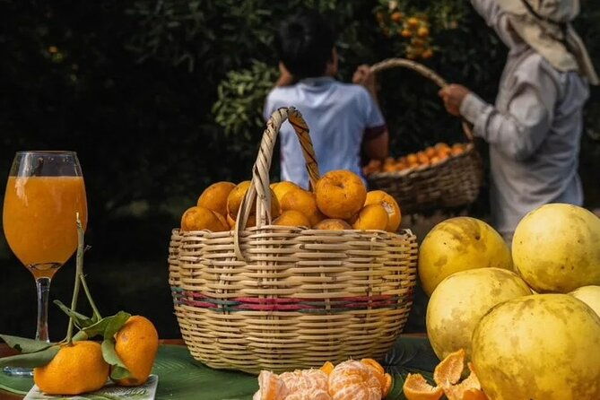 adventure-with-turtles-lava-tunnels-and-los-gemelos-craters