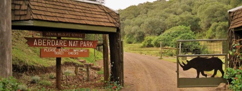 Adventurous Aberdare National Park 2-Day Safari - Authentic Insights from Travelers