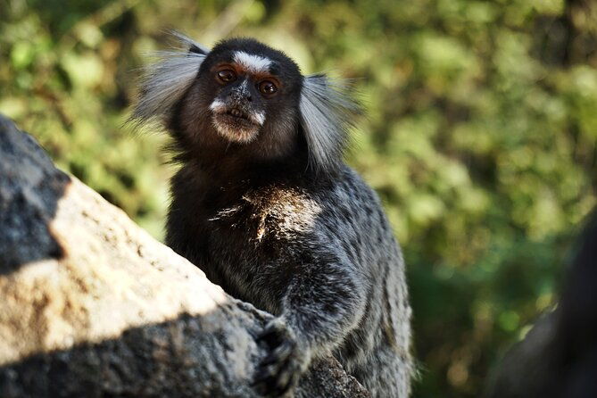 adventurous-hike-to-iconic-sugarloaf-summit-rio-de-janeiro