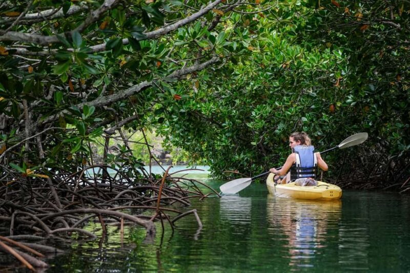 Adventurous Mauritius: private trip with hotel & activities - Final thoughts  