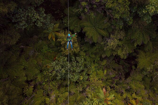 Adventurous Zipline Tour in Coromandel - The Route and Experience Details  